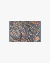 Althea Multicolor Rug