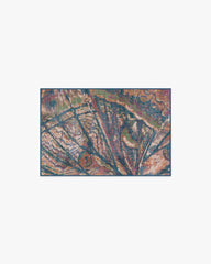 Althea Multicolor Rug