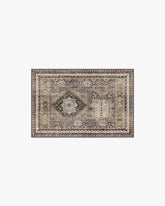Rumi Olive & Tan Rug
